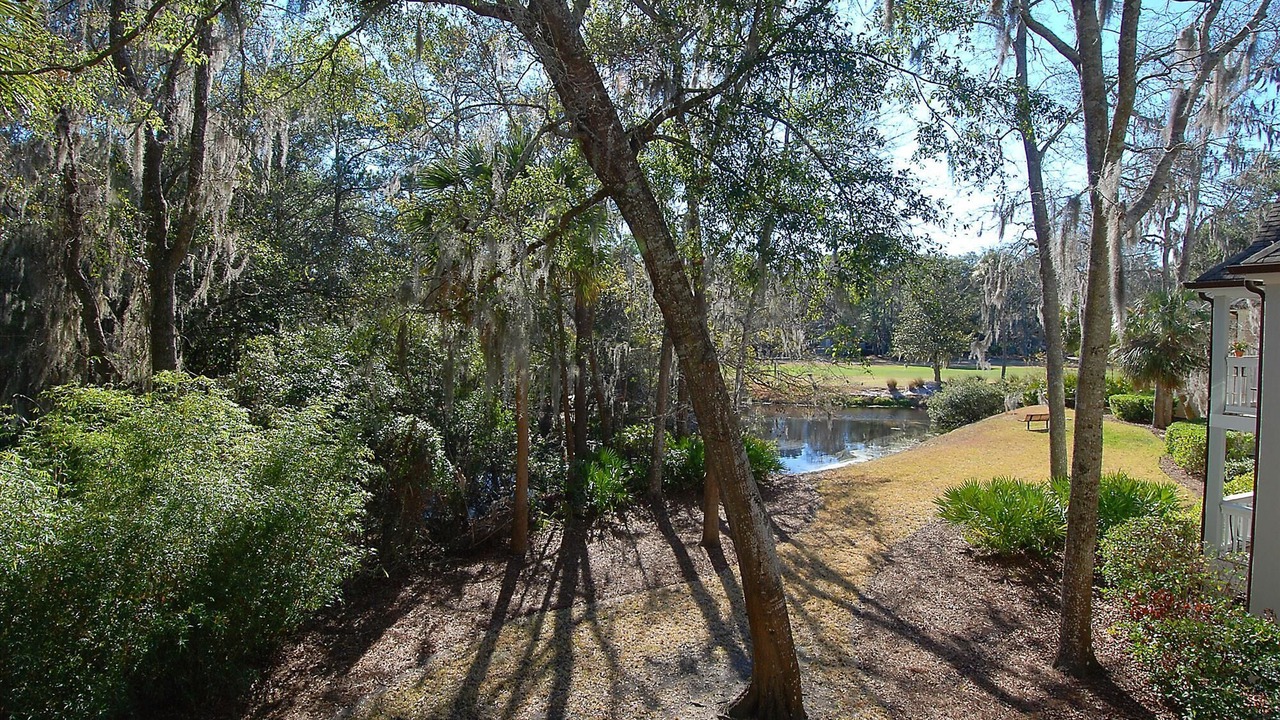 Photo of Outdoor in Shipyard Plantation
