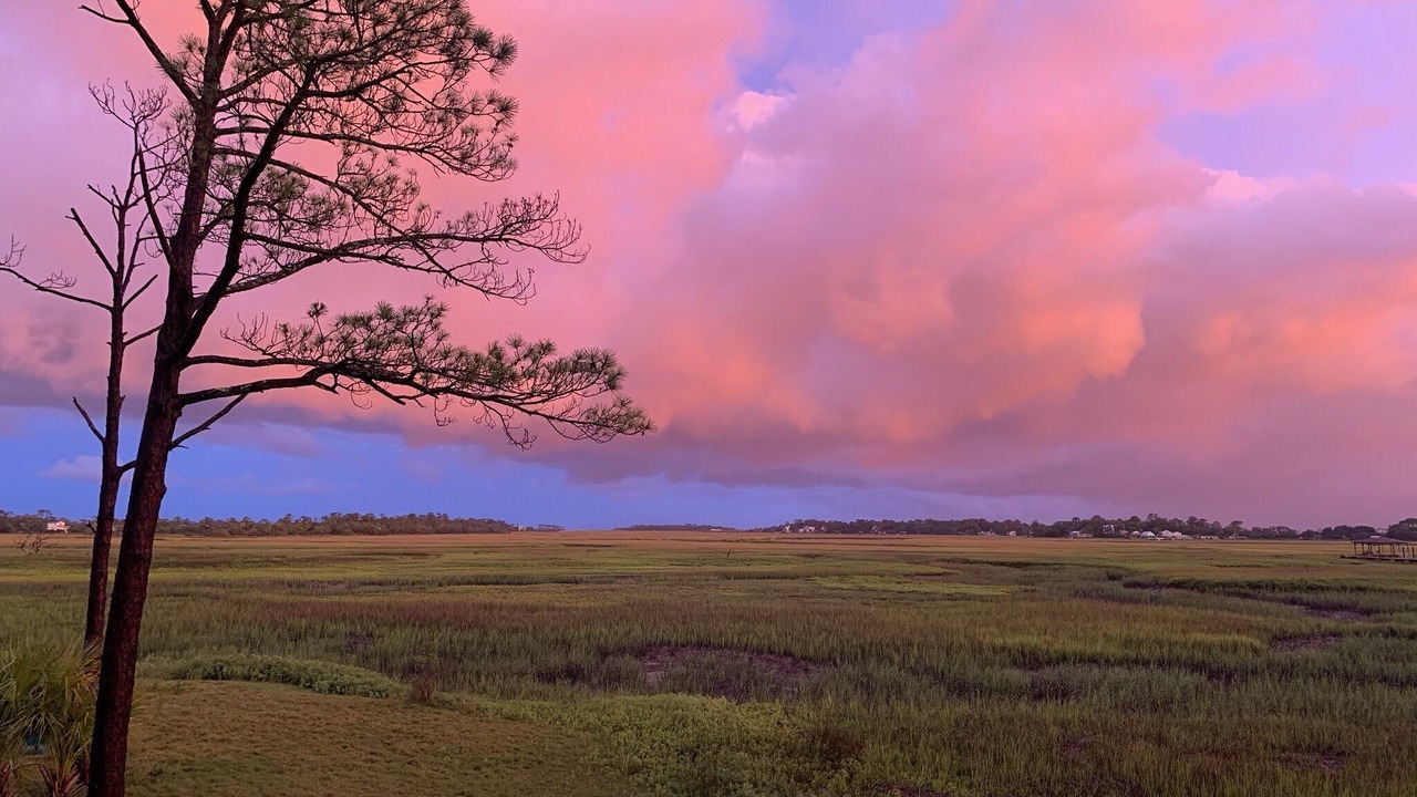 Photo of Outdoor in Tybee Island