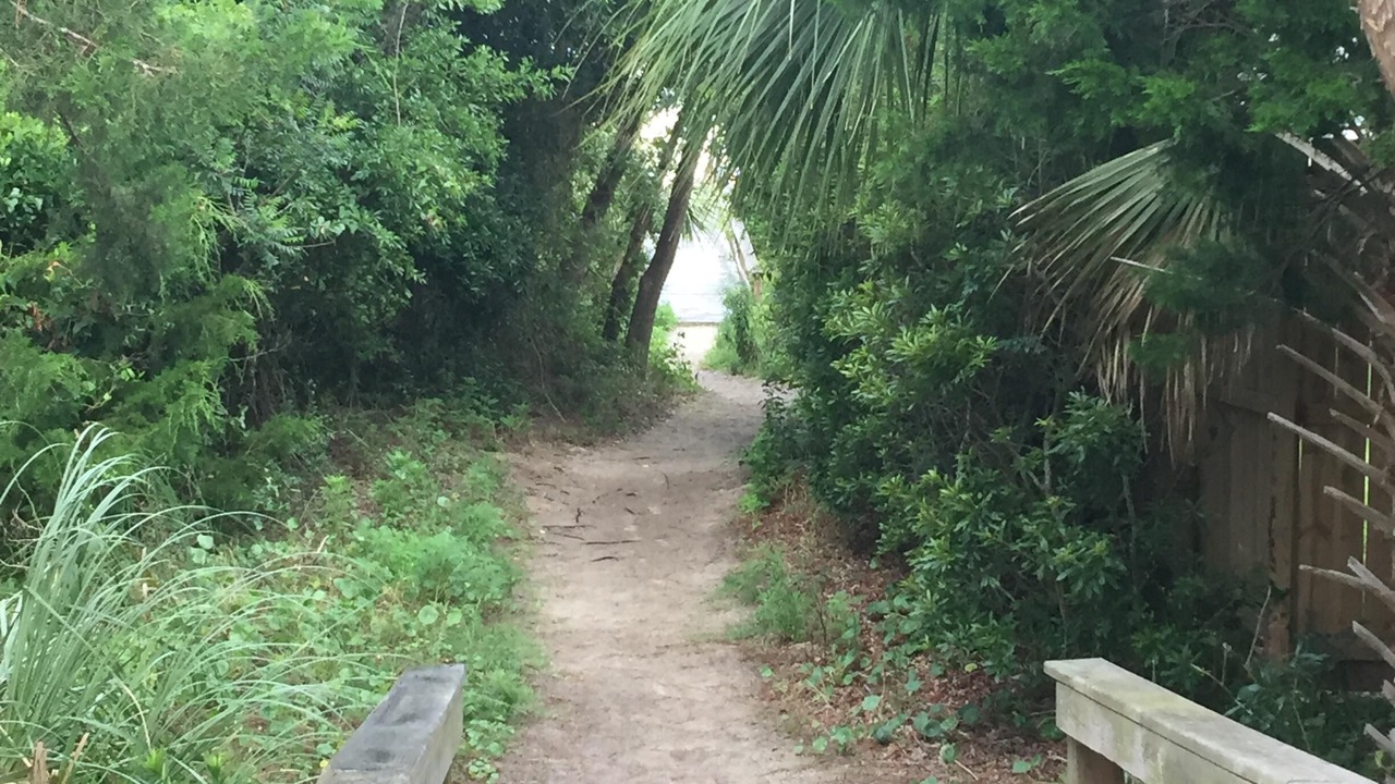Photo of Others in Tybee Island