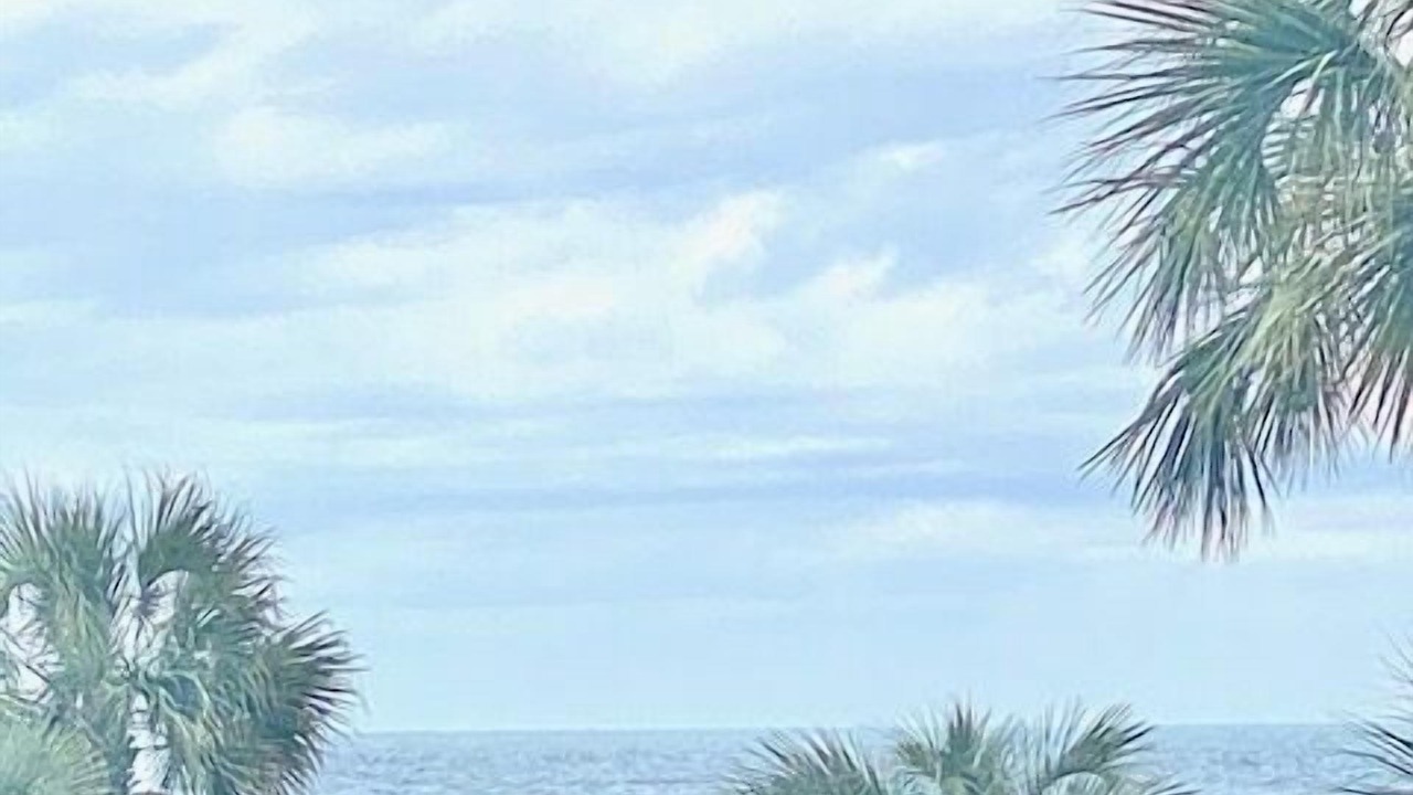 Photo of Others in Isle of Palms