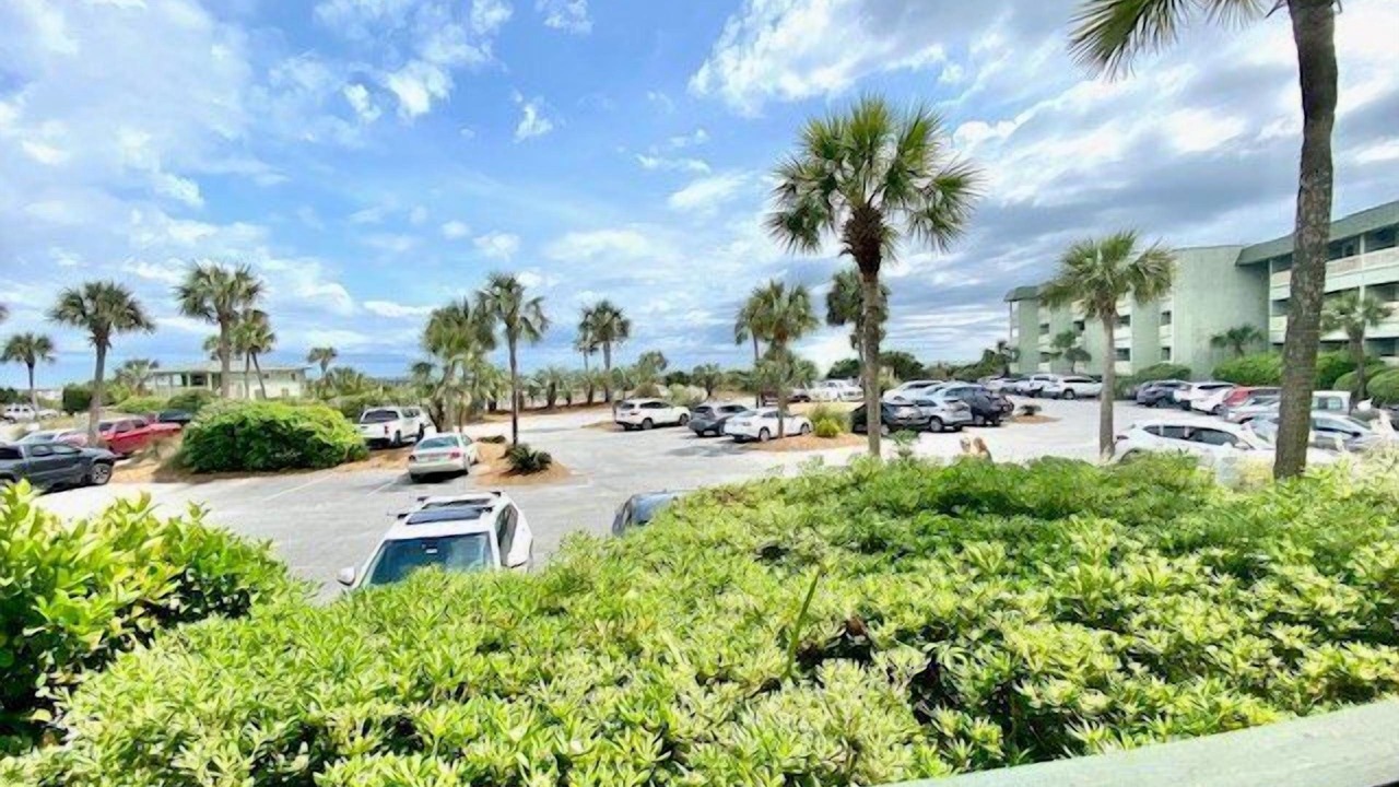 Photo of Outdoor in Isle of Palms