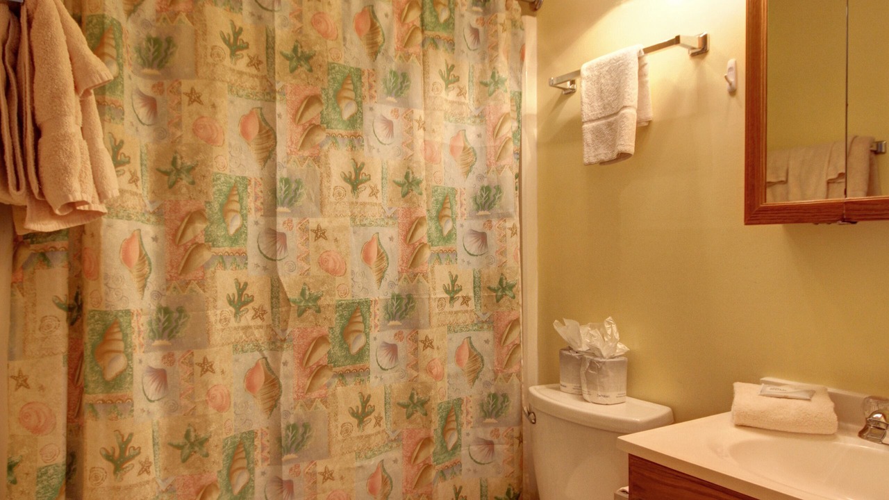 Photo of Bathroom in Isle of Palms
