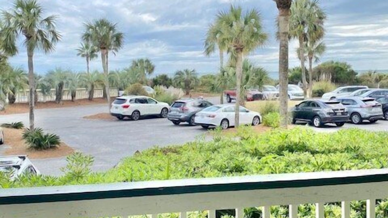 Photo of Others in Isle of Palms