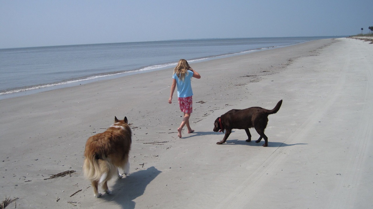 Photo of Others in Melrose on the Beach