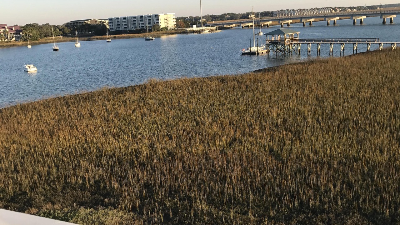 Photo of Others in Waters Edge