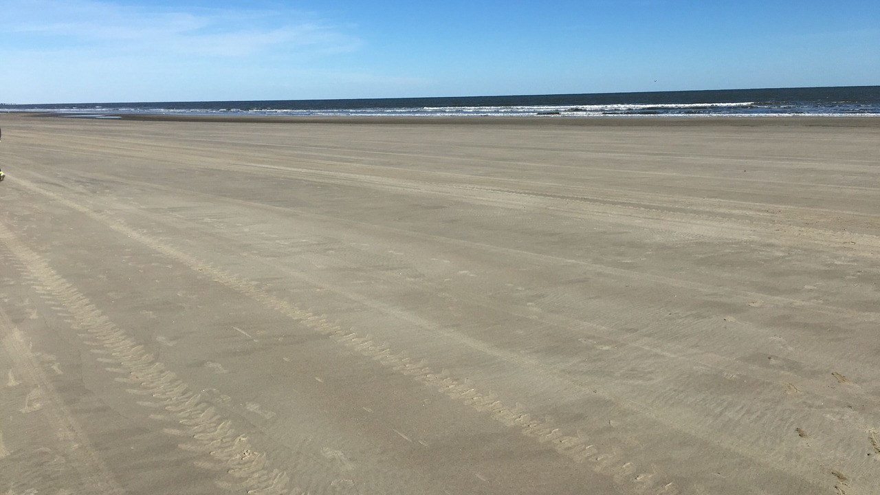Photo of Others in West Beach