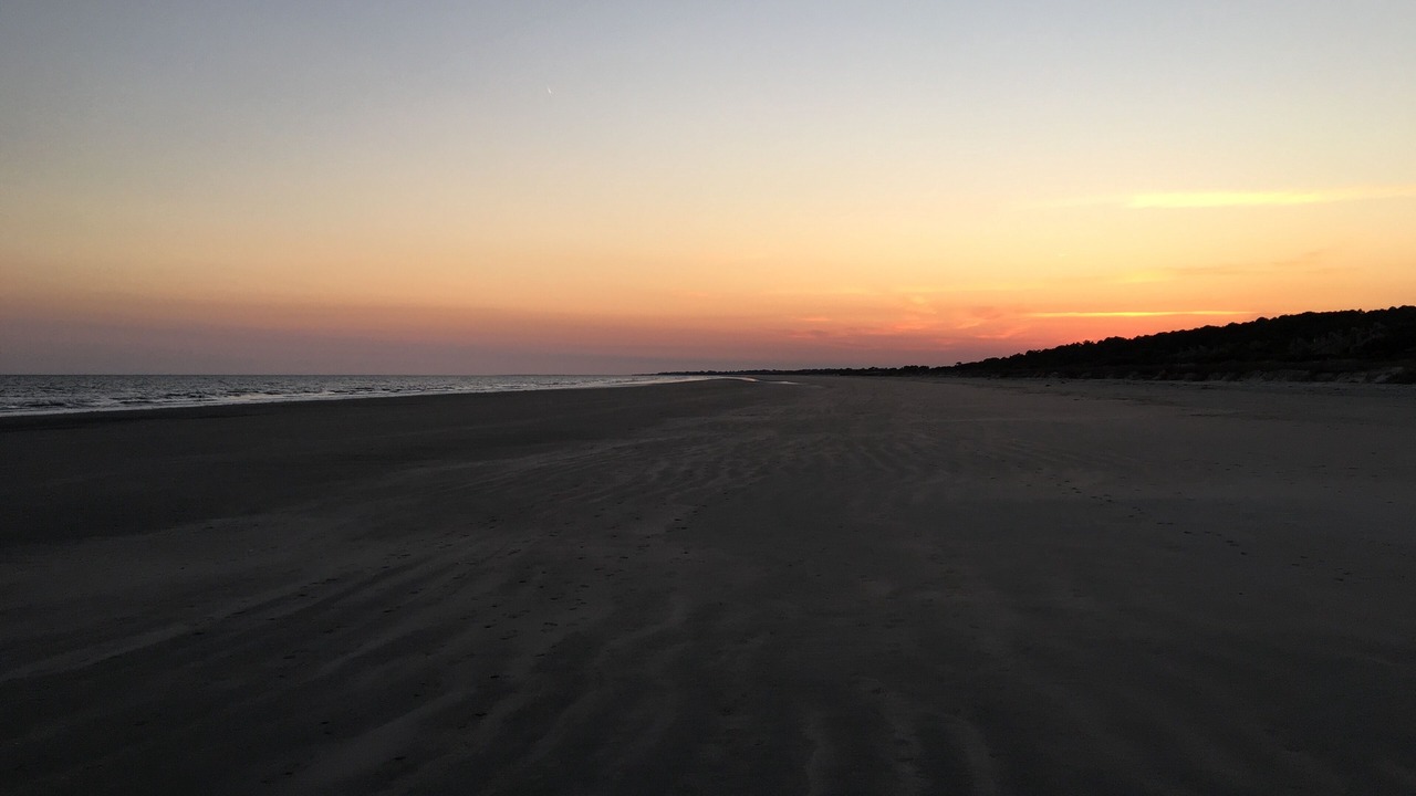Photo of Others in West Beach