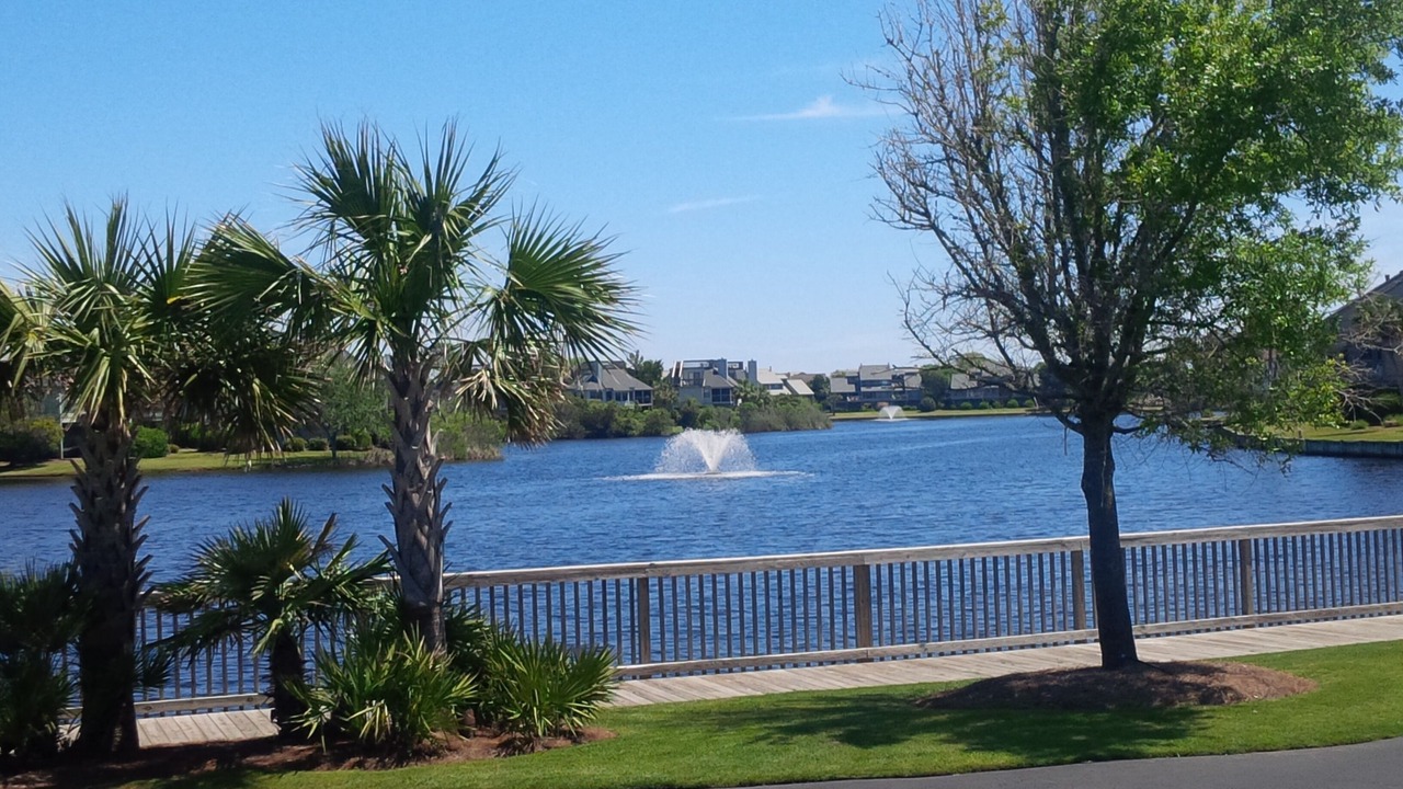 Photo of Outdoor in Litchfield by the Sea