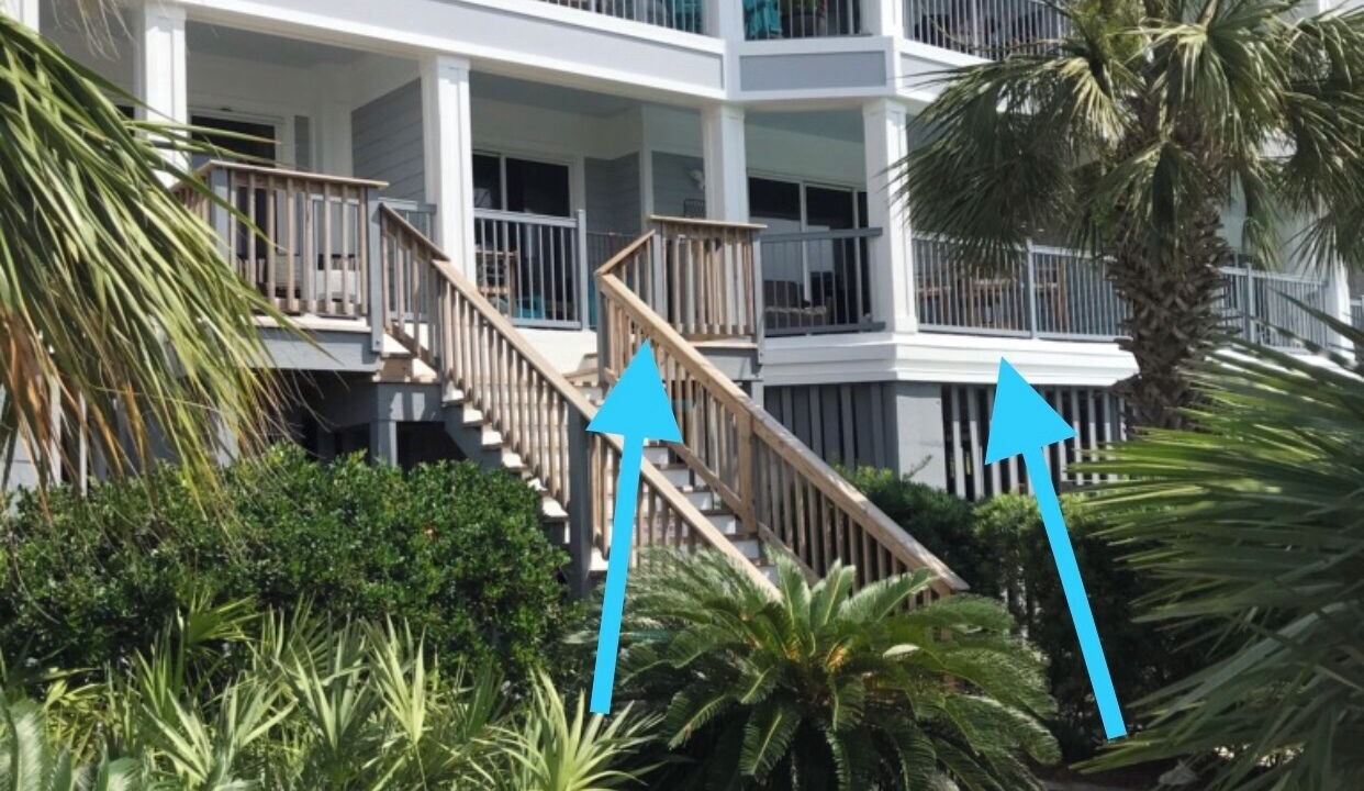 Photo of Outdoor in Isle of Palms