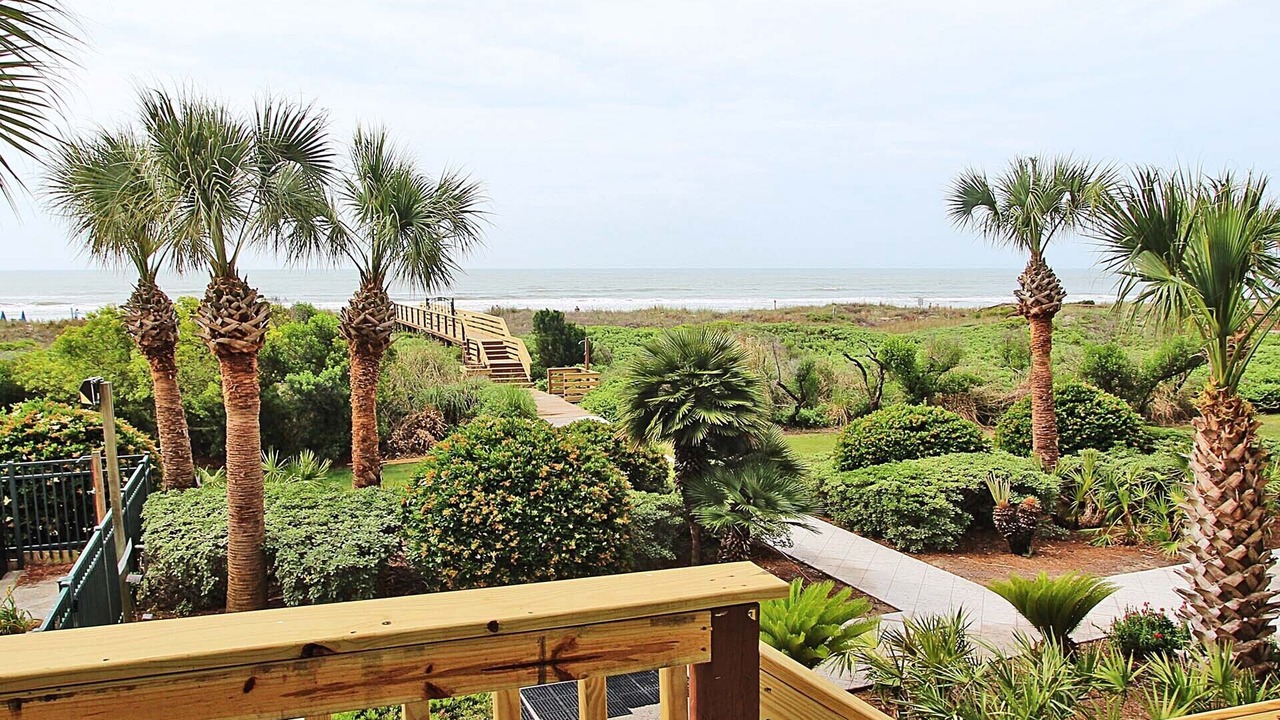 Photo of Outdoor in Isle of Palms