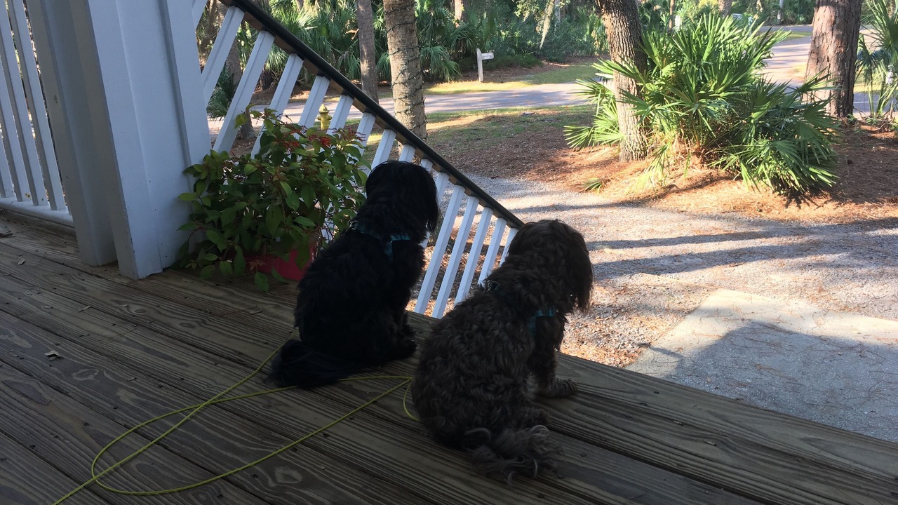 Photo of Outdoor in Saint Helena Island