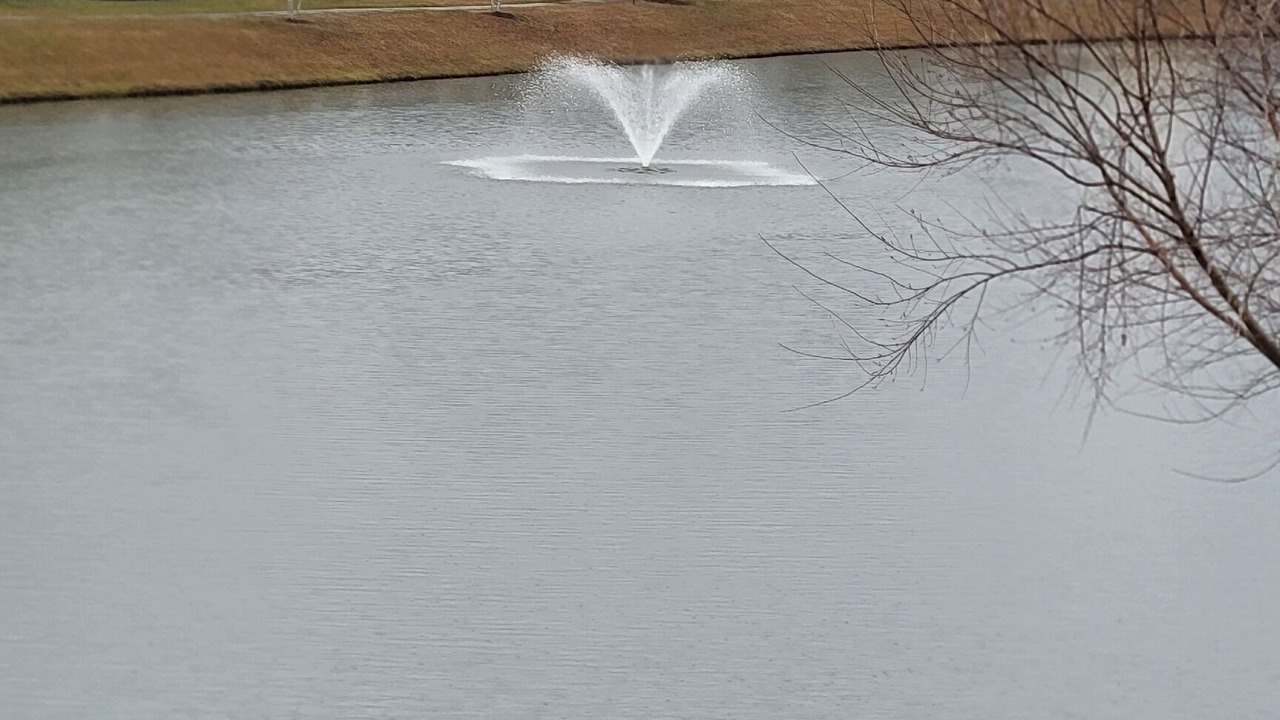 Photo of Outdoor in Central Myrtle Beach