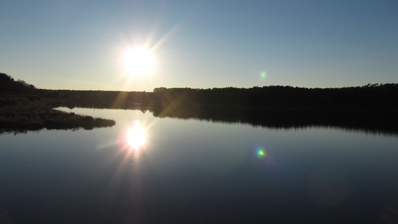 Photo of Outdoor in Pawleys Island