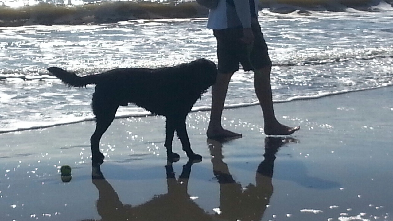 Photo of Others in West Beach