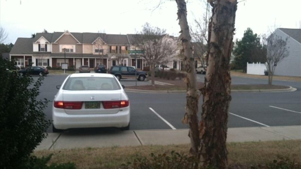 Photo of Others in Brown Road