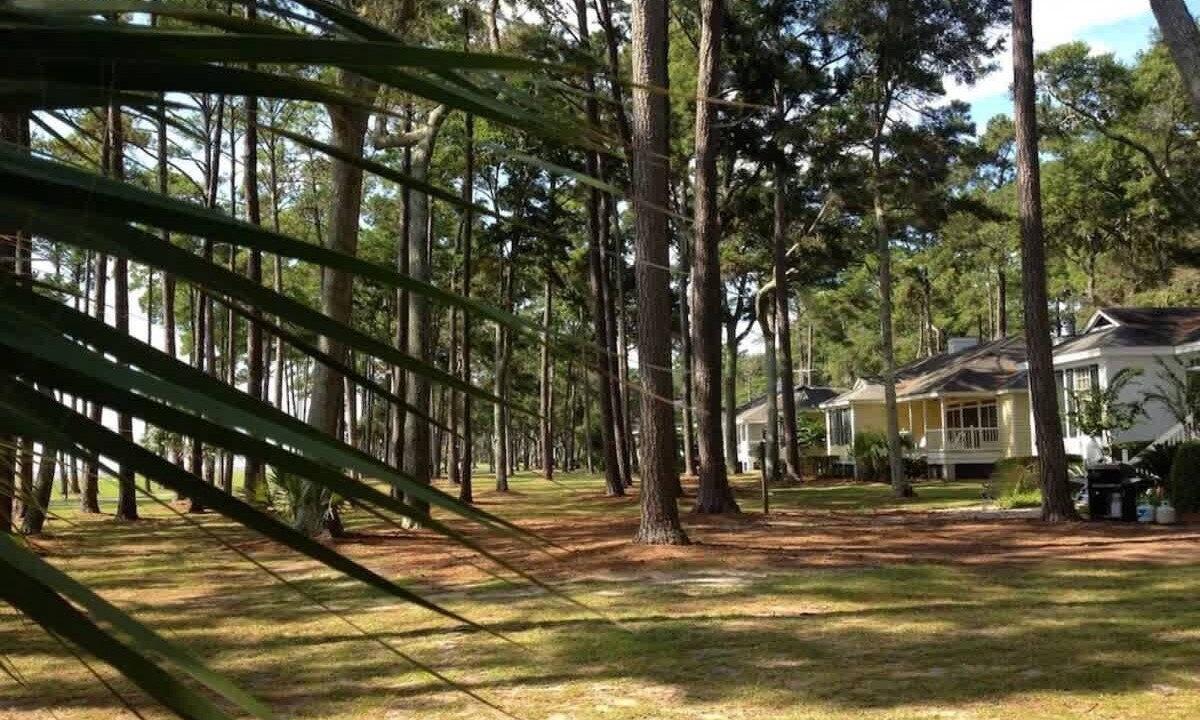Photo of Outdoor in Melrose on the Beach