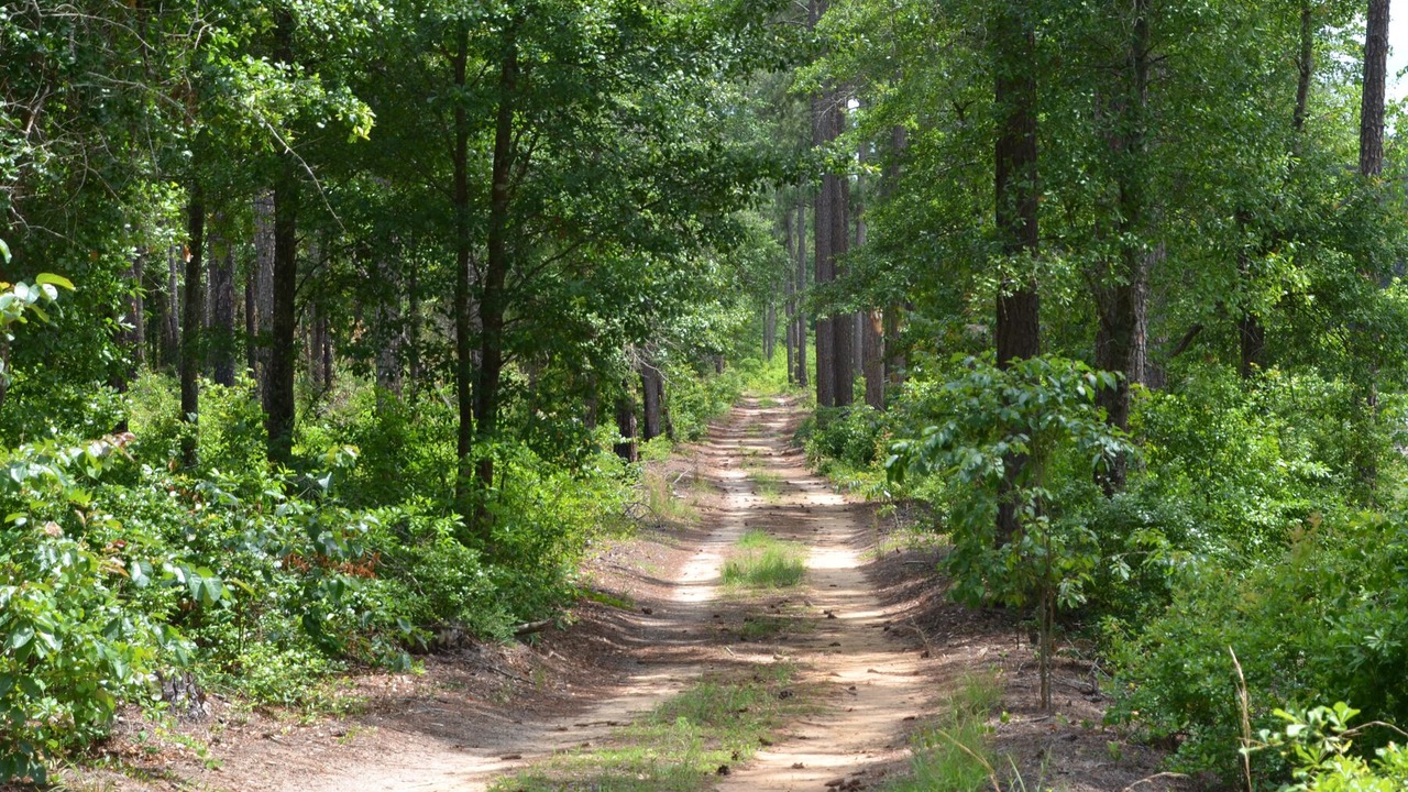 Photo of Outdoor in Aiken