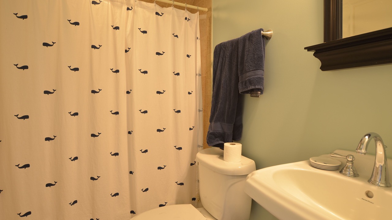 Photo of Bathroom in McClellanville