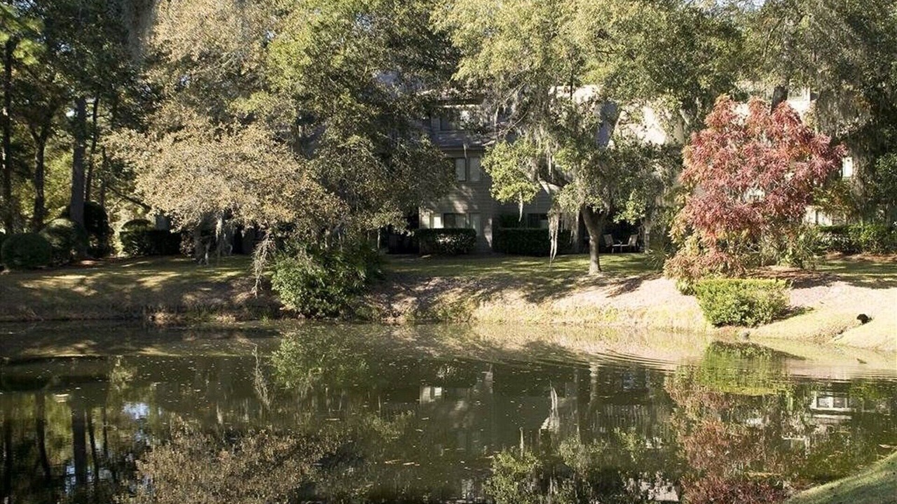 Photo of Others in Sea Pines