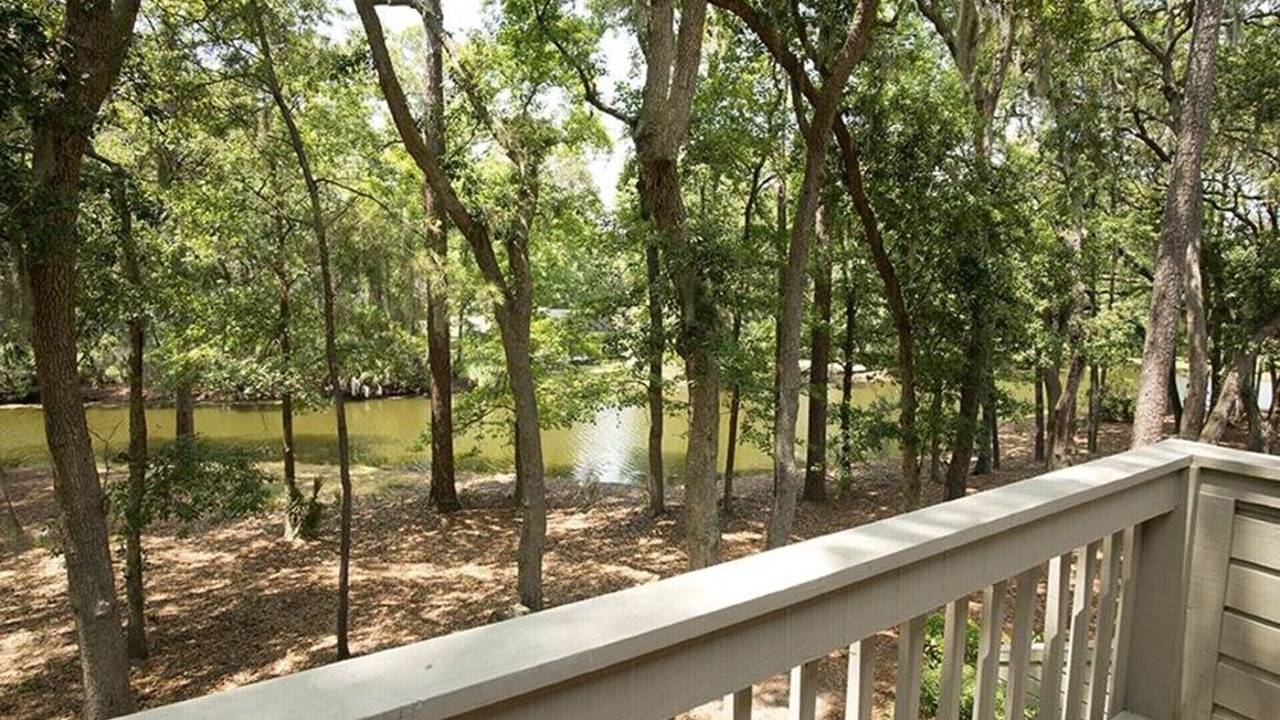 Photo of Others in Sea Pines