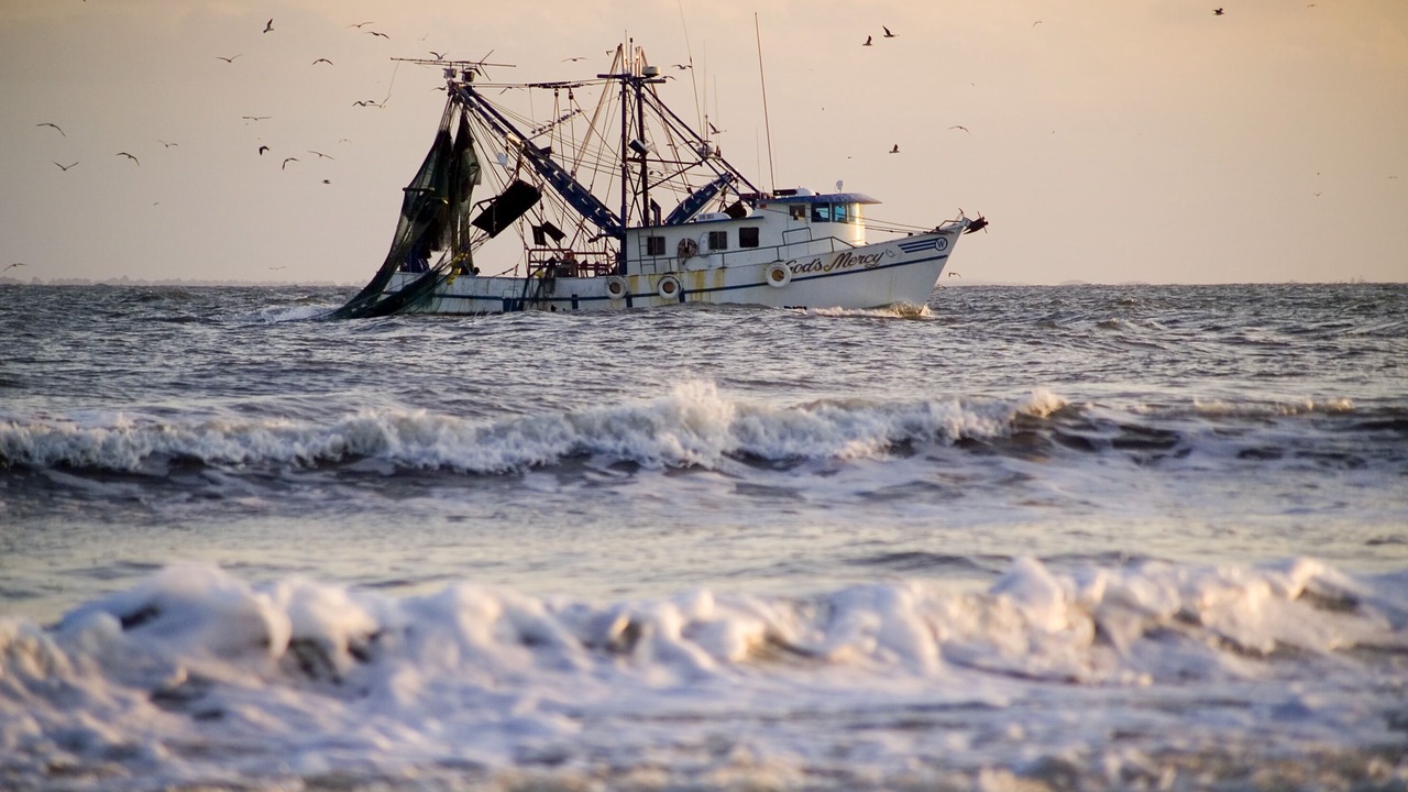 Photo of Others in Sea Pines