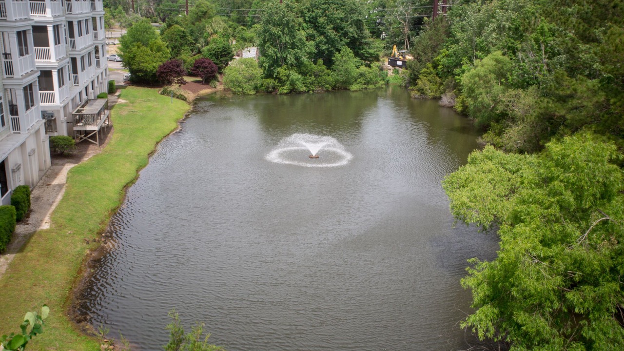 Photo of Outdoor in North Litchfield Beach