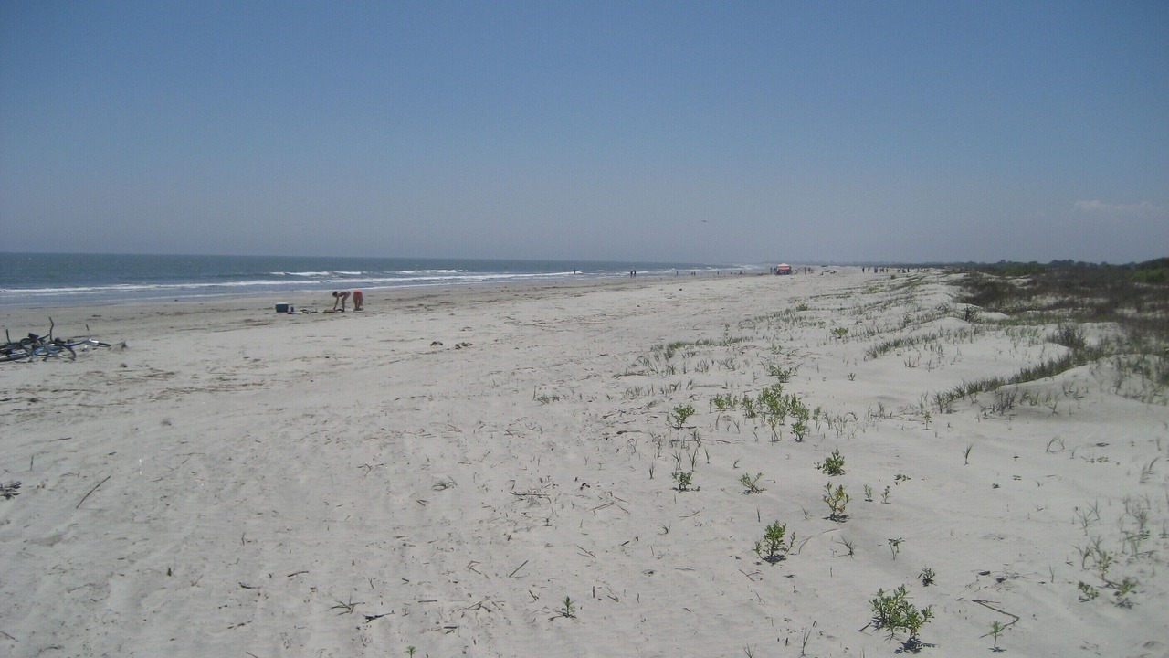 Photo of Others in West Beach
