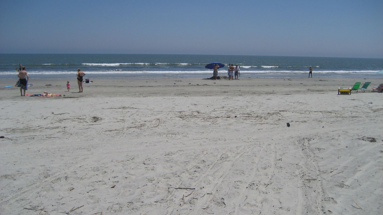 Photo of Others in West Beach