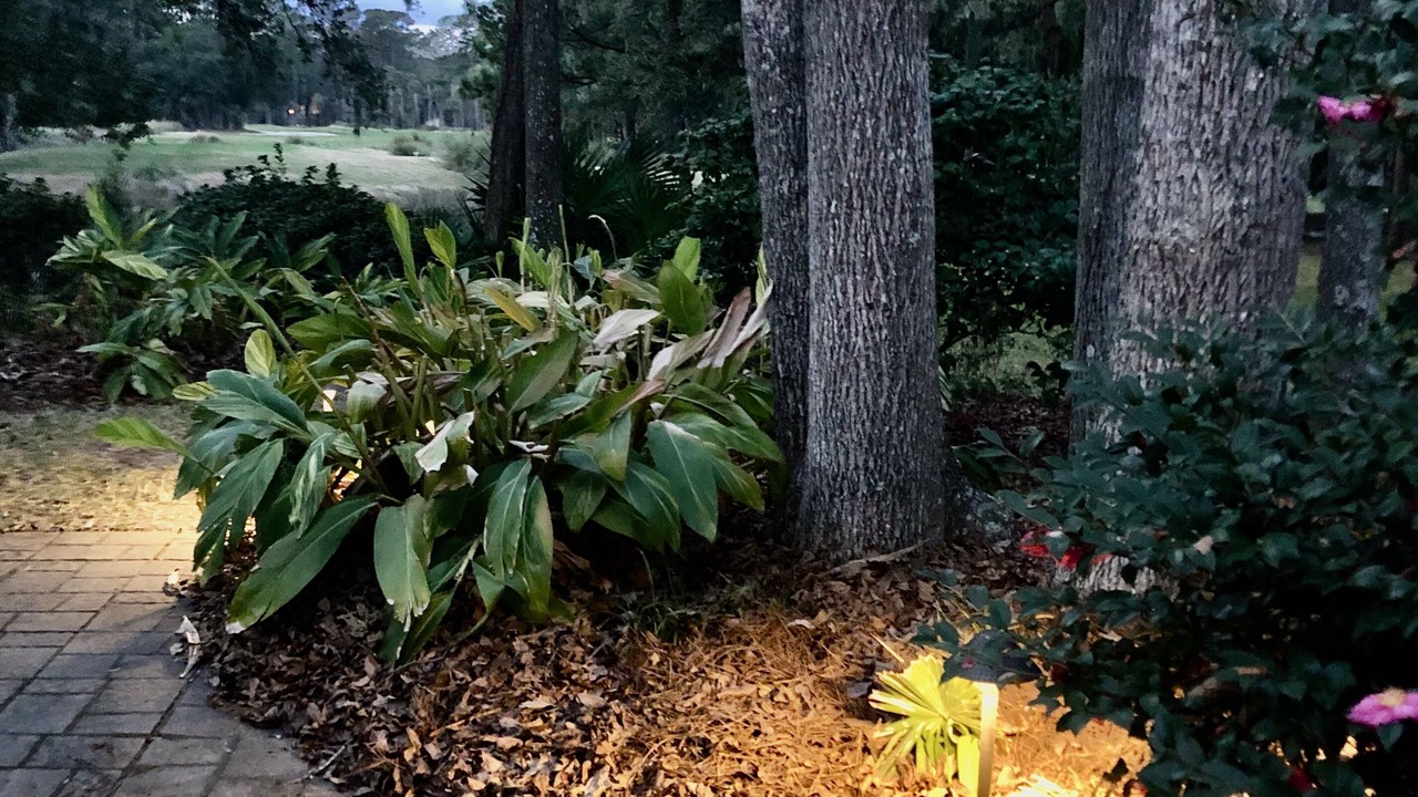 Photo of Others in Sea Pines