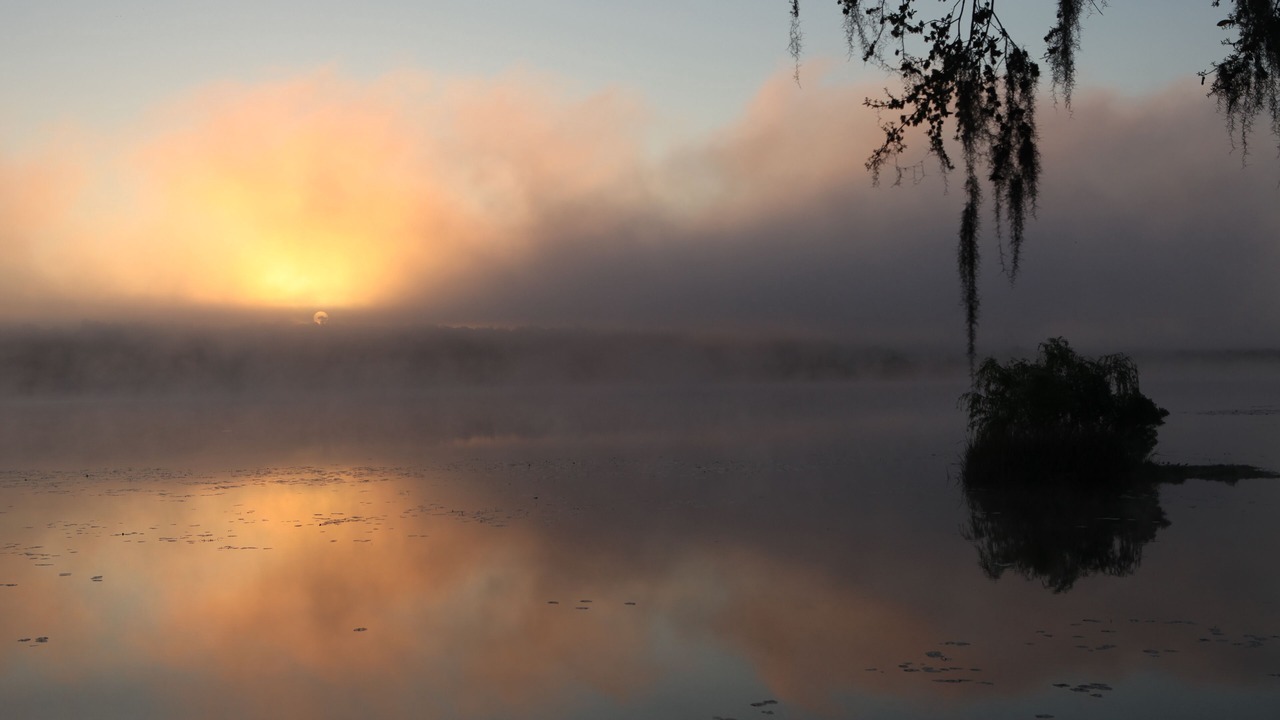Photo of Others in Hanahan