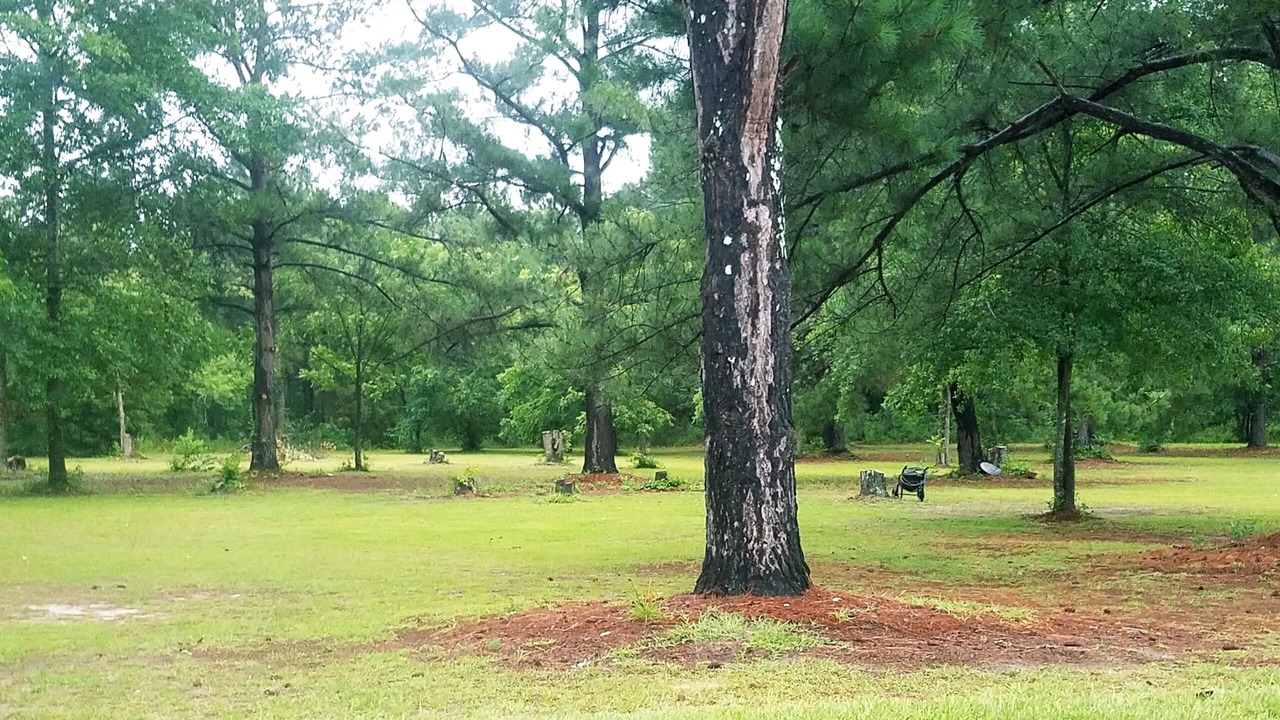 Photo of Others in Aiken