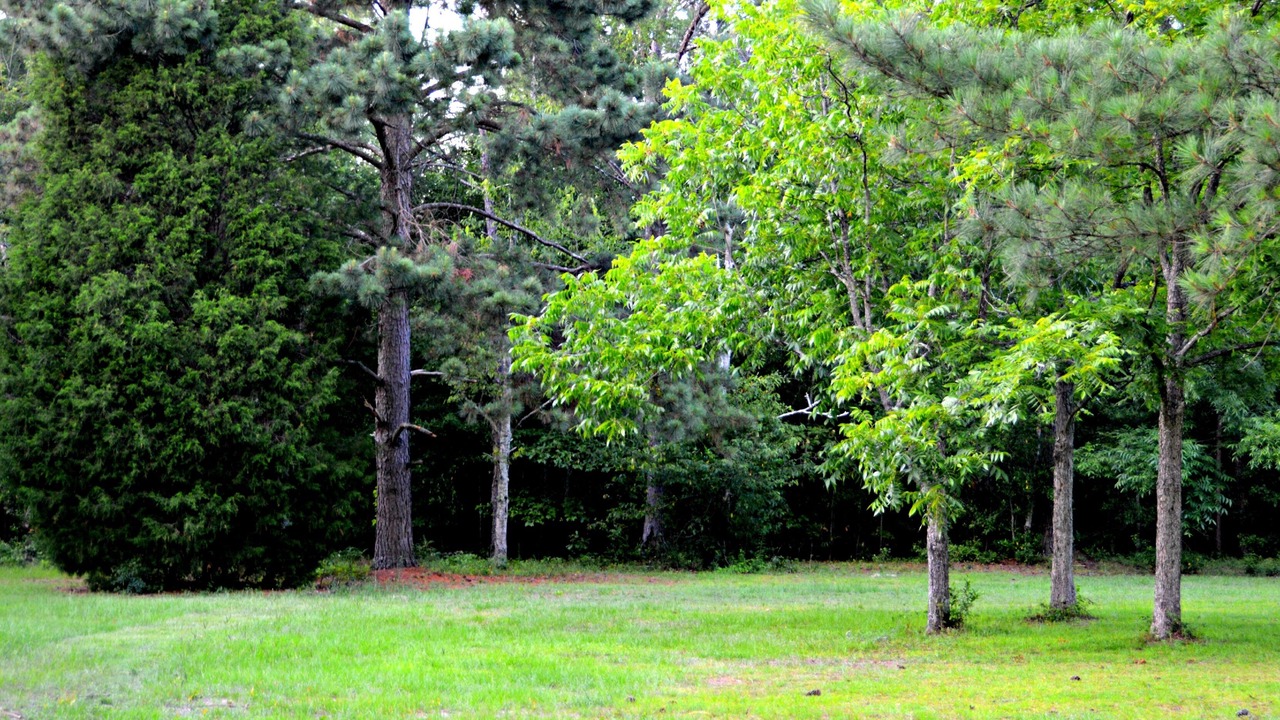 Photo of Outdoor in Aiken