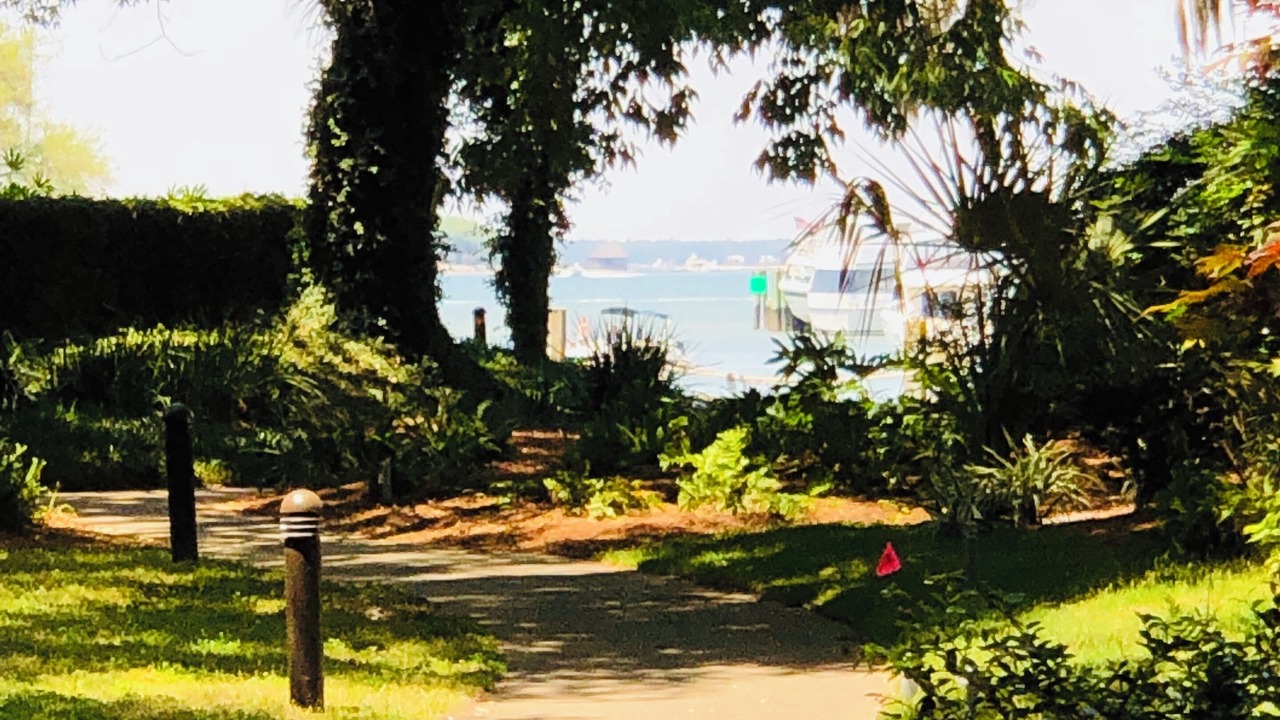 Photo of Outdoor in Harbour Town