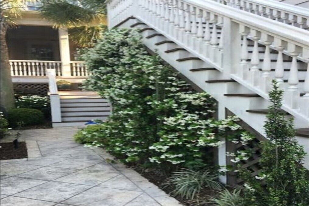 Photo of Outdoor in Charleston