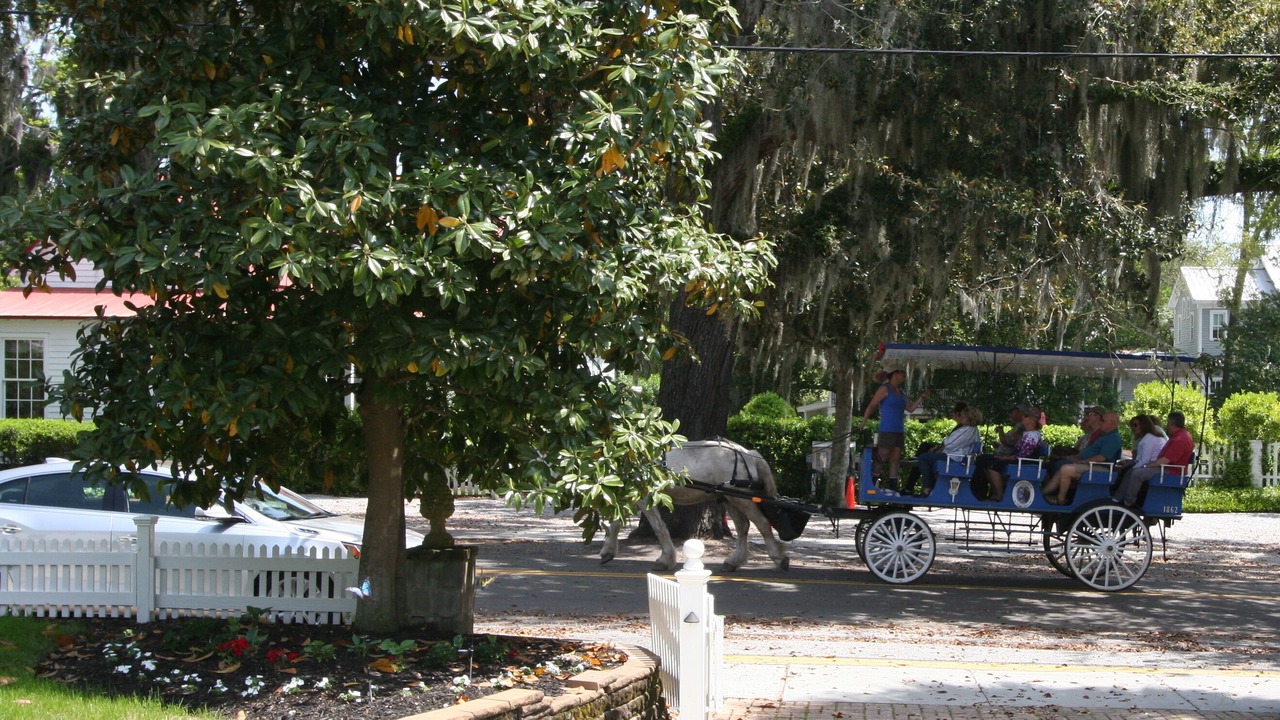 Photo of Others in Historic District