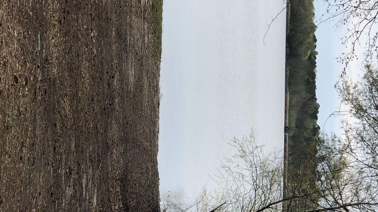 Photo of Others in Summerton