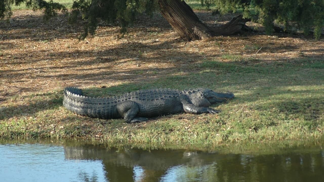 Photo of Outdoor in Daufuskie Island