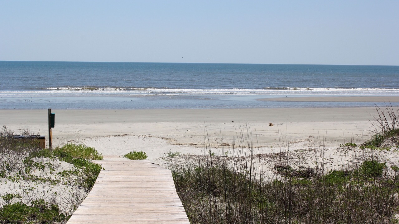 Photo of Others in West Beach