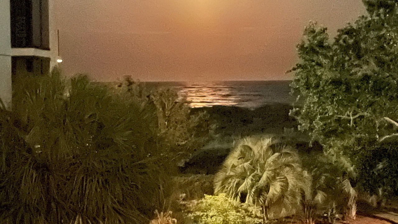 Photo of Patio Balcony in Isle of Palms