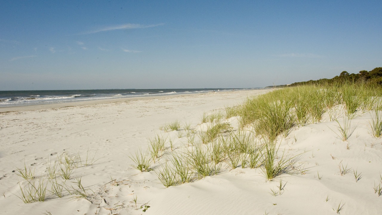 Photo of Others in Sea Pines