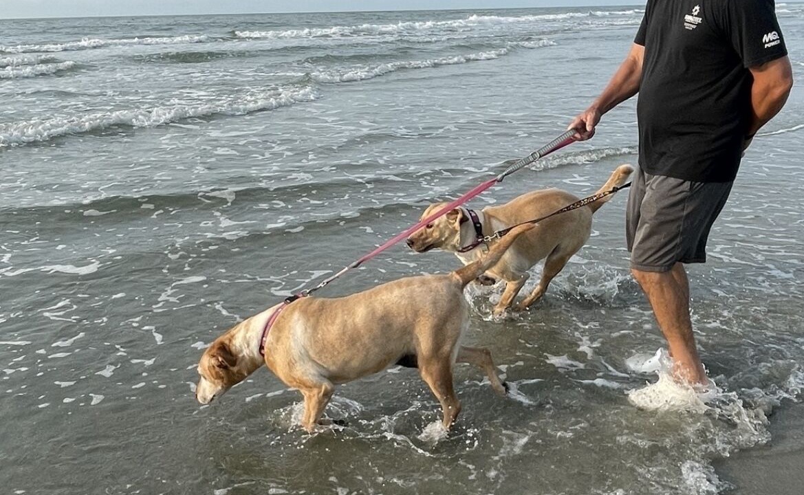 Photo of Others in Surfside Beach