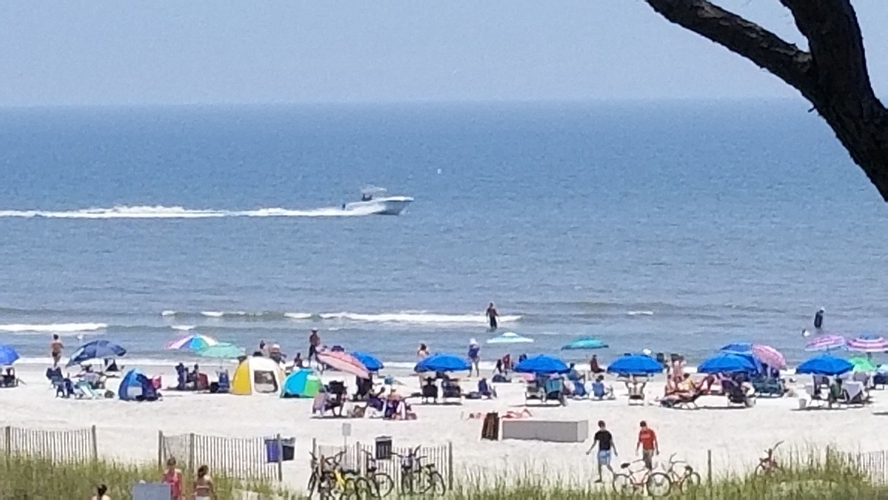 Photo of Others in Hilton Head Island