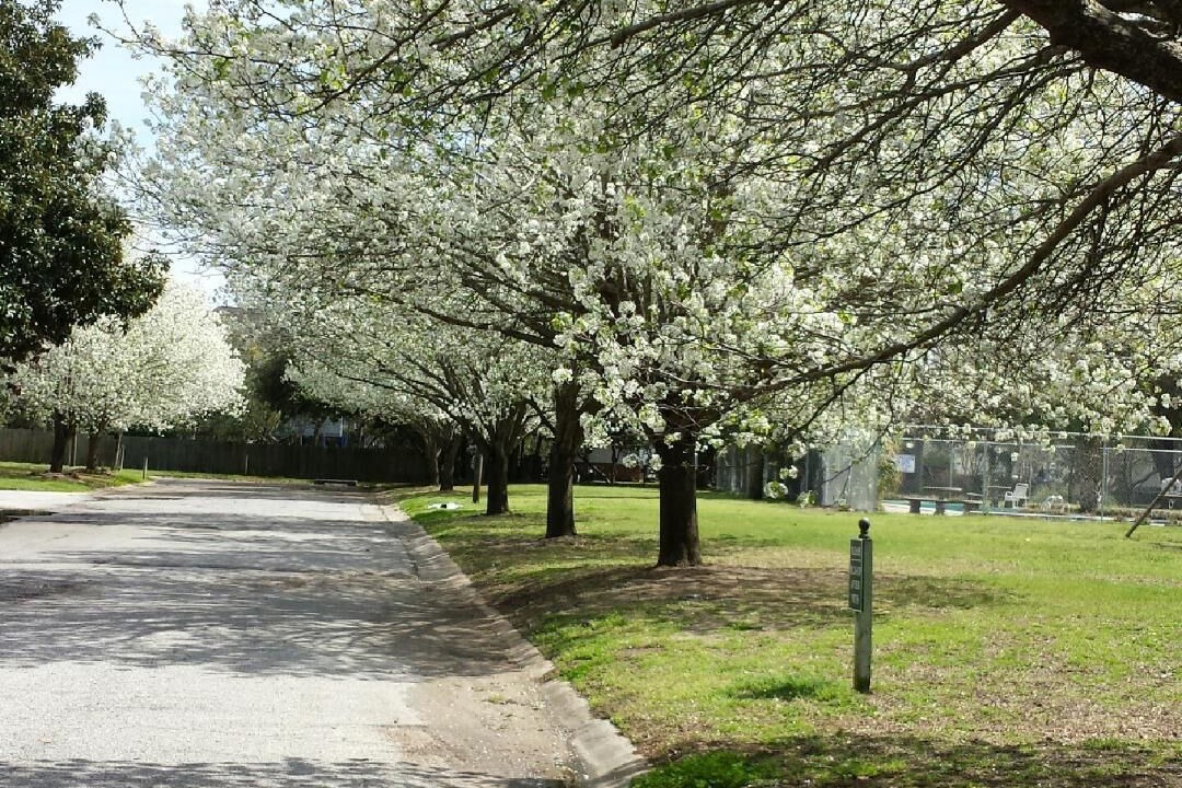 Photo of Outdoor in Old Village