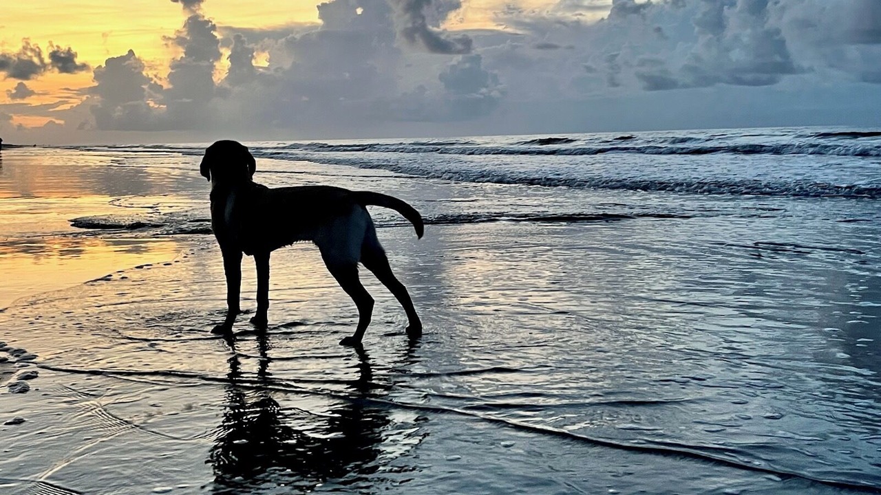 Photo of Others in Oceanside