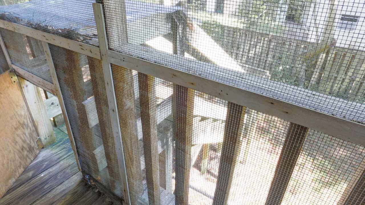 Photo of Outdoor in Sullivan's Island