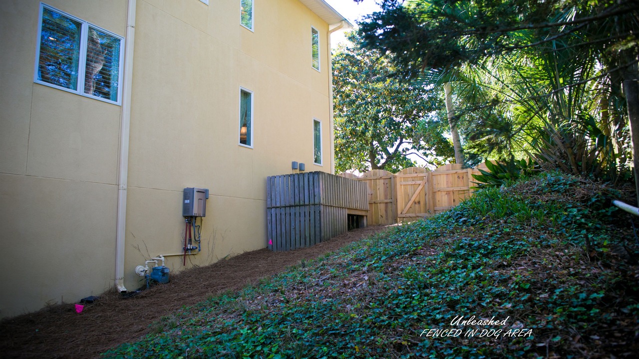 Photo of Outdoor in Folly Beach