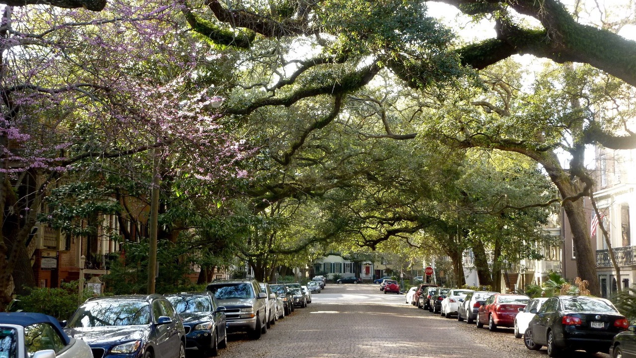 Photo of Others in Historic Downtown Savannah