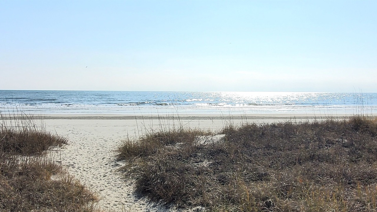 Photo of Others in Arcadian Shores