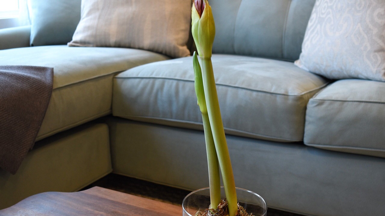 Photo of Livingroom in West Ashley