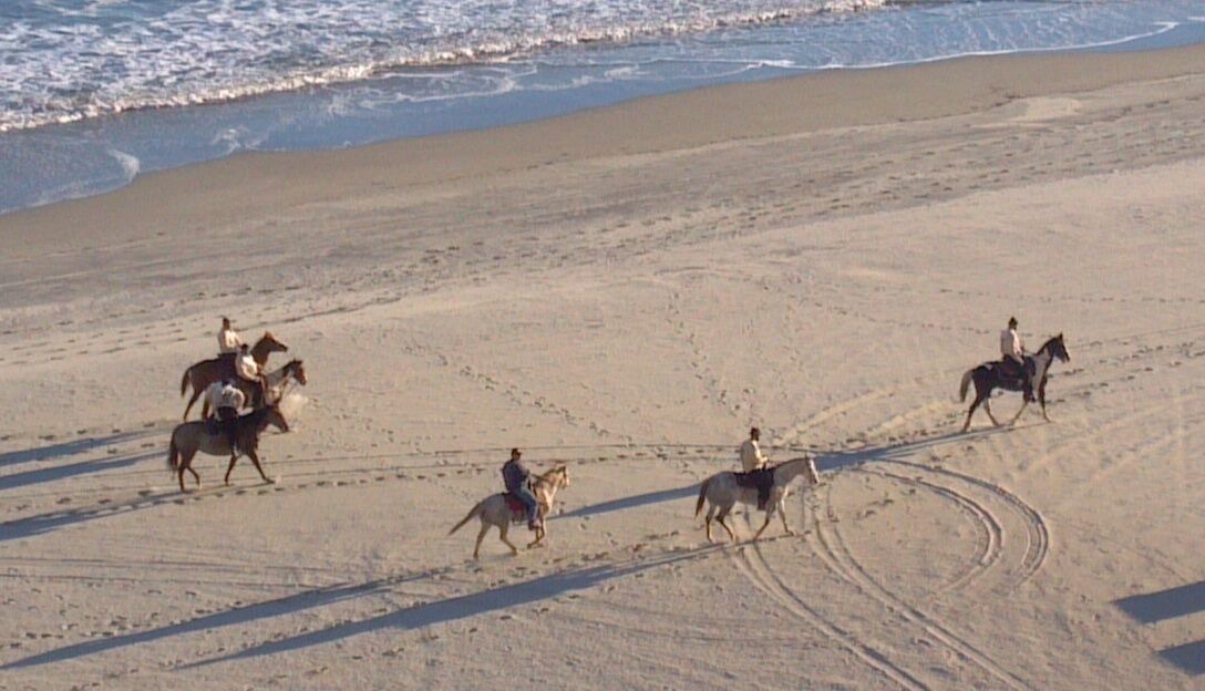 Photo of Others in Myrtle Beach